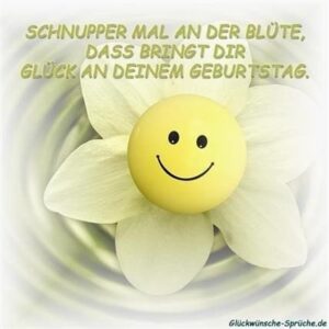 geburtstag grüße bilder kostenlos