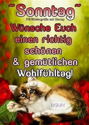 Gemütlichen Sonntag Bilder: Bringing Joy to Your Sunday with Art