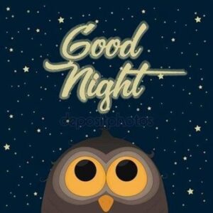gute nacht bilder eule