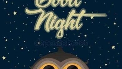 ᐅ gute nacht bilder eule - Gute Nacht GB Pics - GBPicsBilder
