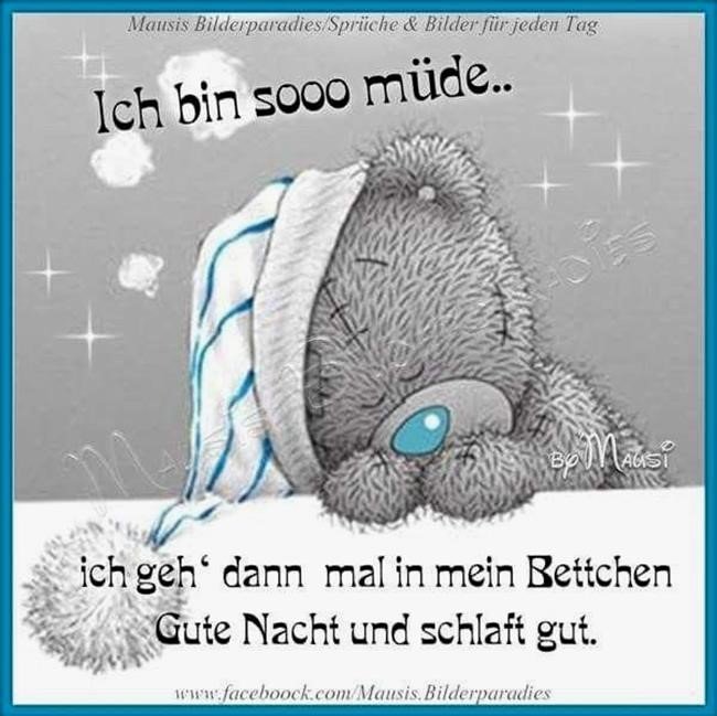 Coole Sprüche Whatsapp Gute Nacht Sprüche