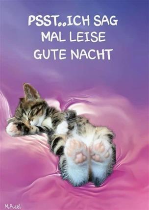 Suss Und Lustig Gute Nacht Bilder Fur Whatsapp