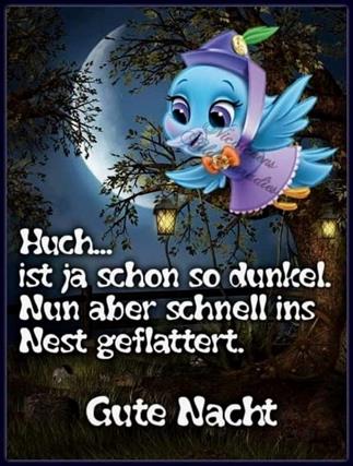 Gute Nacht Bilder Kostenlos Lustig Gb Bilder Gb Pics Gastebuchbilder