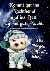 gute nacht bilder lustig kostenlos downloaden