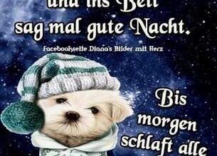 ᐅ gute nacht bilder lustig kostenlos downloaden - Gute Nacht GB Pics - GBPicsBilder