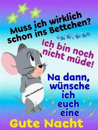 Gute Nacht Spruch Witzig Gutenachtbilder Gutenachtspruchwitzig