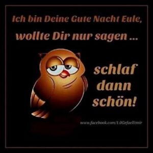 gute nacht bilder lustig