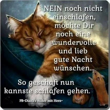 Nacht lustig guten gute nacht