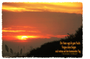 gute nacht bilder natur