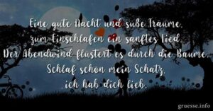 gute nacht bilder sprüche