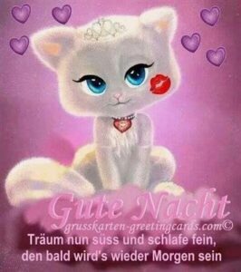 gute nacht bilder süß
