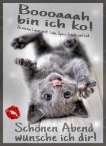 gute nacht bilder tiere