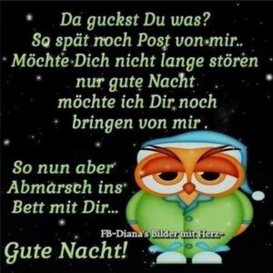 gute nacht bilder witzig