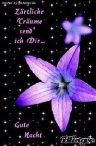gute nacht wünsche bilder kostenlos