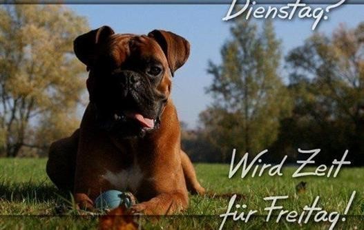 guten bilder böse Gb Bilder • GB Pics Gästebuchbilder