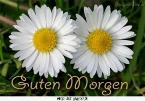 ᐅ guten bilder mit kaffee Guten GB Pics GBPicsBilder
