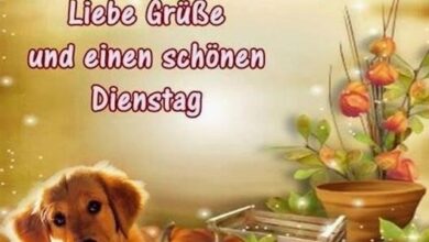 ᐅ guten morgen bilder dienstag kostenlos - Guten Morgen GB Pics - GBPicsBilder