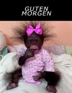 guten morgen bilder donnerstag gif