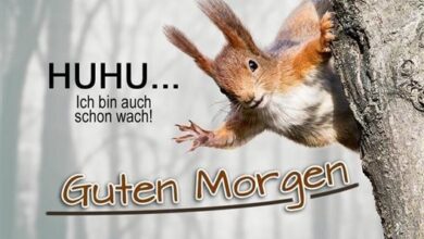 ᐅ guten morgen bilder eichhörnchen - Guten Morgen GB Pics - GBPicsBilder