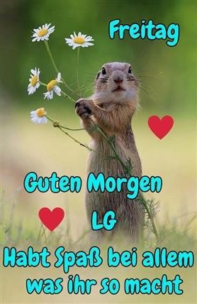 ᐅ Guten Bilder Endlich Freitag GB Pics GBPicsBilder