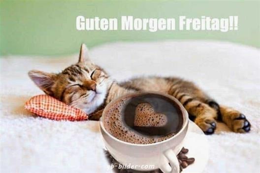 ᐅ guten morgen bilder für whatsapp freitag - Guten Morgen - 