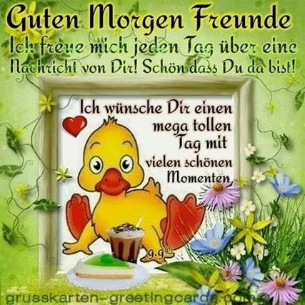 Lustige Sonntag Morgen Spruche Lustige Guten Morgen Spruche