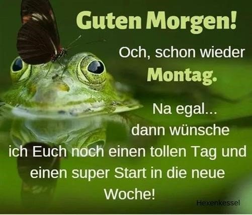 Guten Morgen Bilder Fur Whatsapp Montag Gb Bilder Gb Pics Gastebuchbilder