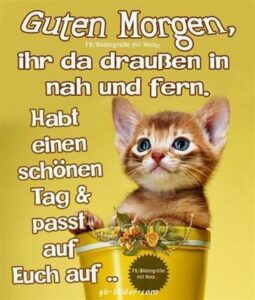 guten morgen bilder für whatsapp freitag