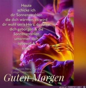 guten morgen bilder herz