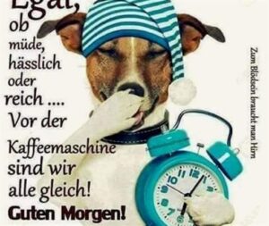 guten morgen bilder jappy