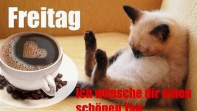 ᐅ guten morgen bilder kostenlos lustig - Begrusung GB Pics - GBPicsBilder