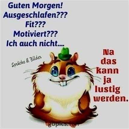 Lustig morgen sprüche guten Guten Morgen