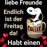 ᐅ guten morgen bilder lustig freitag - Guten Morgen GB Pics - GBPicsBilder