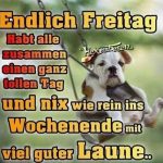 ᐅ guten morgen bilder lustig freitag - Guten Morgen GB Pics - GBPicsBilder