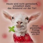 ᐅ guten morgen bilder lustig freitag - Guten Morgen GB Pics - GBPicsBilder