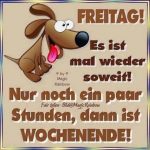 ᐅ guten morgen bilder lustig freitag - Guten Morgen GB Pics - GBPicsBilder