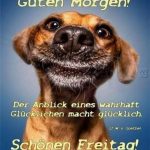 ᐅ guten morgen bilder lustig freitag - Guten Morgen GB Pics - GBPicsBilder