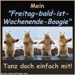 ᐅ guten morgen bilder lustig freitag - Guten Morgen GB Pics - GBPicsBilder