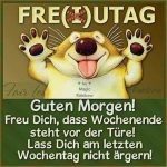 ᐅ guten morgen bilder lustig freitag - Guten Morgen GB Pics - GBPicsBilder