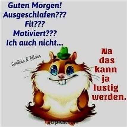 Liebesgruss Am Morgen Bilder Guten Morgen Lustig Lustige Guten