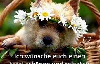 ᐅ guten morgen bilder lustig samstag - Guten Morgen GB Pics - GBPicsBilder