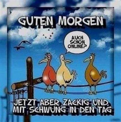 Sonntag sprüche lustige morgen guten morgen