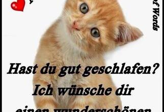 ᐅ guten morgen bilder lustig - Guten Morgen GB Pics - GBPicsBilder