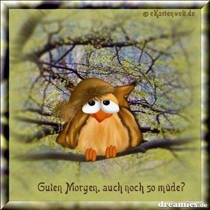guten morgen müde bilder lustig
