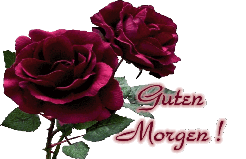 ᐅ guten morgen bilder mit rosen - Guten Morgen GB Pics - GBPicsBilder