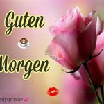 ᐅ guten morgen bilder mit rosen - Guten Morgen GB Pics - GBPicsBilder