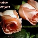 ᐅ guten morgen bilder mit rosen - Guten Morgen GB Pics - GBPicsBilder