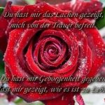 ᐅ guten morgen bilder mit rosen - Guten Morgen GB Pics - GBPicsBilder