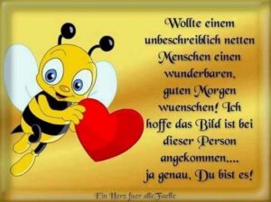 guten morgen bilder mit spruch