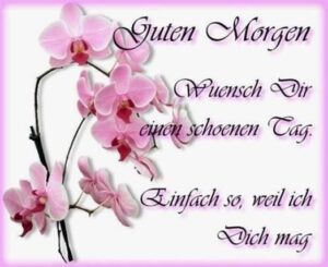 guten morgen bilder mit sprüchen
